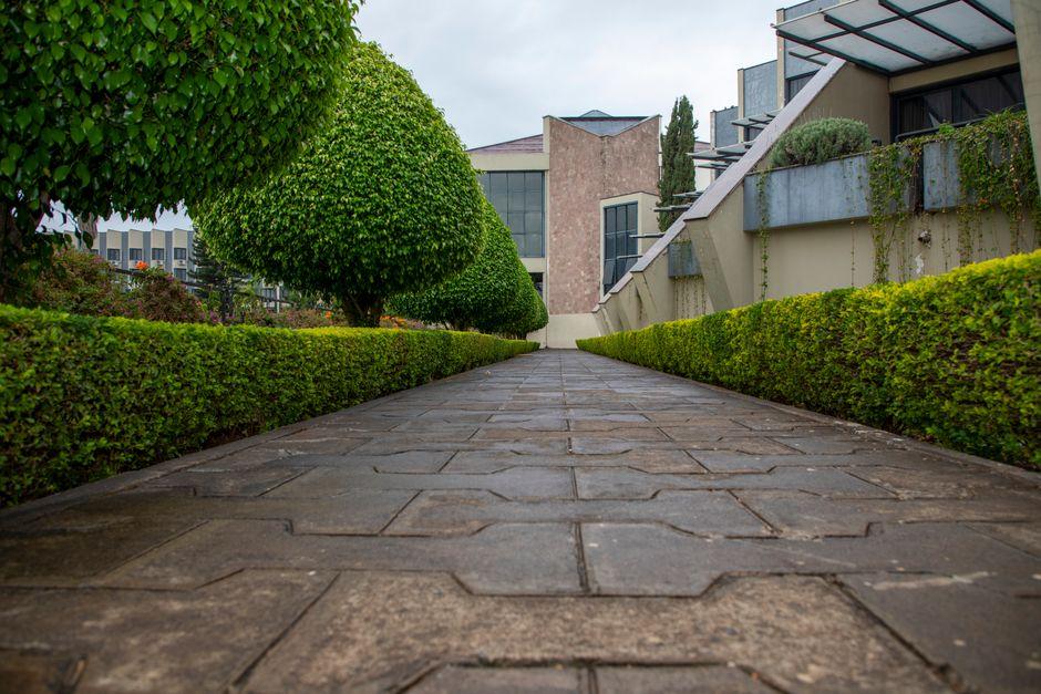 how hedge risk using stocks — financial market analysis and trading insights for investors