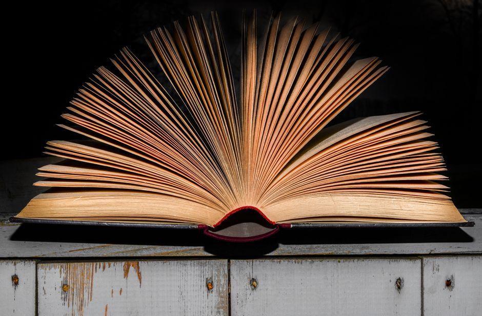 How to Read Volume Profile: A Professional Trader’s Guide how read volume profile like professional — financial market analysis and trading insights for investors