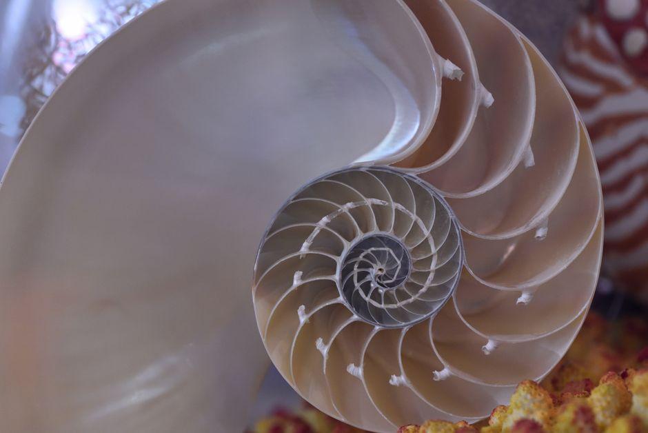 Fibonacci Retracement Fundamentals: A Complete Trading Guide what are the fundamentals fibonacci retracement — financial market analysis and trading insights for investors