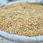 what agricultural commodities and why matters — financial market analysis and trading insights for investors
