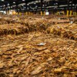 Best Agricultural Commodities to Trade in 2026: Analysis agricultural commodity trading for 2026 trends — financial market analysis and trading insights for investors
