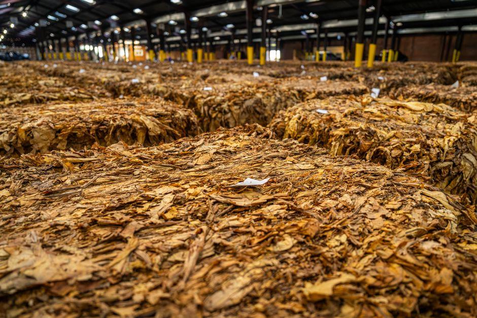 Agricultural Commodity Trading 2026: Trends to Watch agricultural commodity trading for 2026 trends — financial market analysis and trading insights for investors