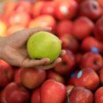 berkshire hathaway apple stock which the — financial market analysis and trading insights for investors