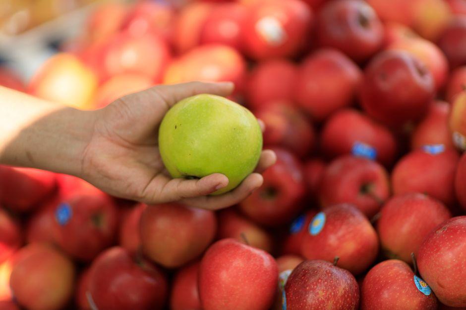 berkshire hathaway apple stock which the — financial market analysis and trading insights for investors