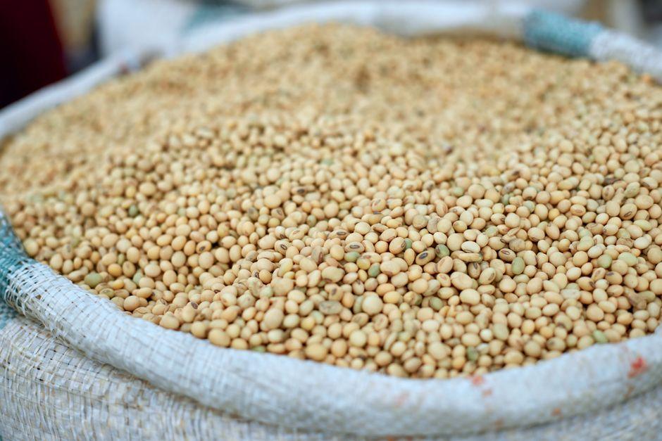 Best Agricultural Commodities to Trade in 2026: Analysis best agricultural commodities trade 2026 — financial market analysis and trading insights for investors
