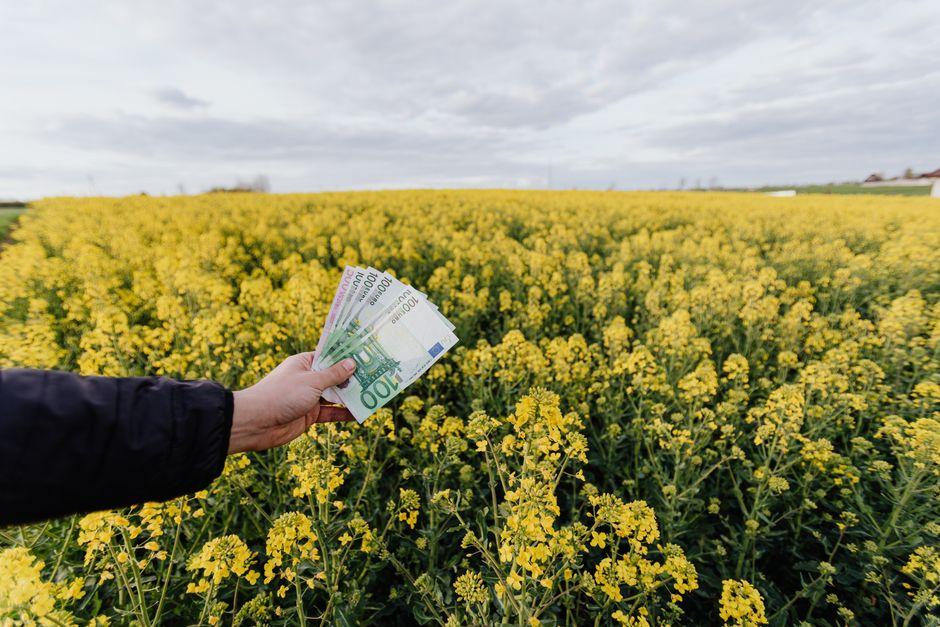 how real yield differentials drive long — financial market analysis and trading insights for investors