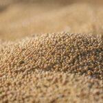 how invest agricultural commodities beginner strategy — financial market analysis and trading insights for investors
