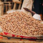 Agricultural Commodities vs Precious Metals: Volatility how trade agricultural commodities mt5 and — financial market analysis and trading insights for investors