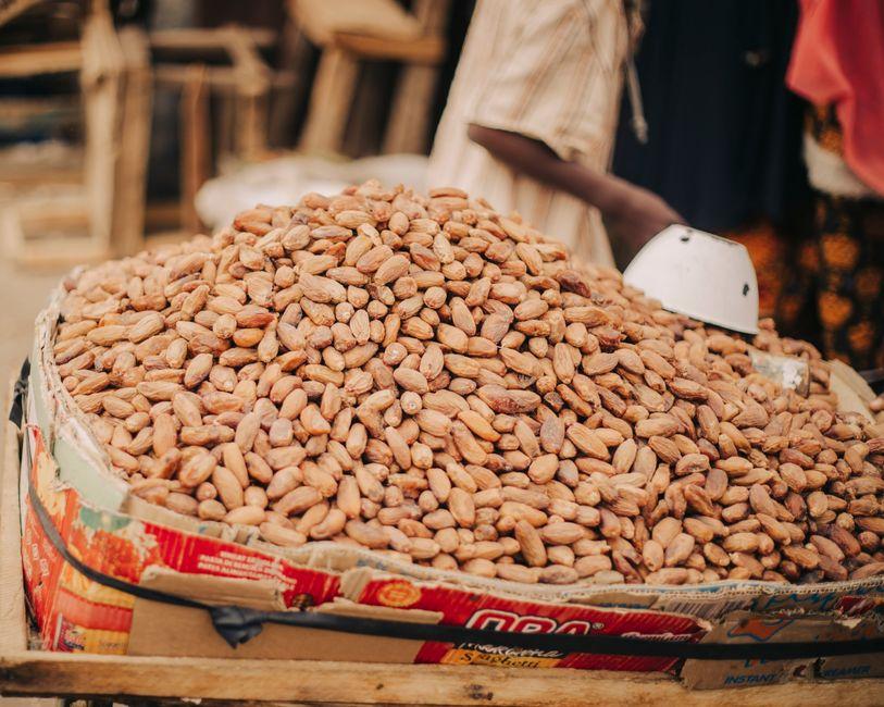 How to Trade Agricultural Commodities on MT4 and MT5 how trade agricultural commodities mt5 and — financial market analysis and trading insights for investors