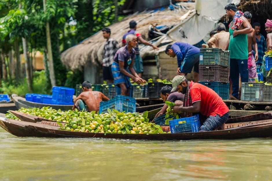 How to Trade in Bangladesh Like a Beginner: DSE Guide how trade bangladesh like beginner — financial market analysis and trading insights for investors