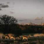 london open kill zone best pairs — financial market analysis and trading insights for investors
