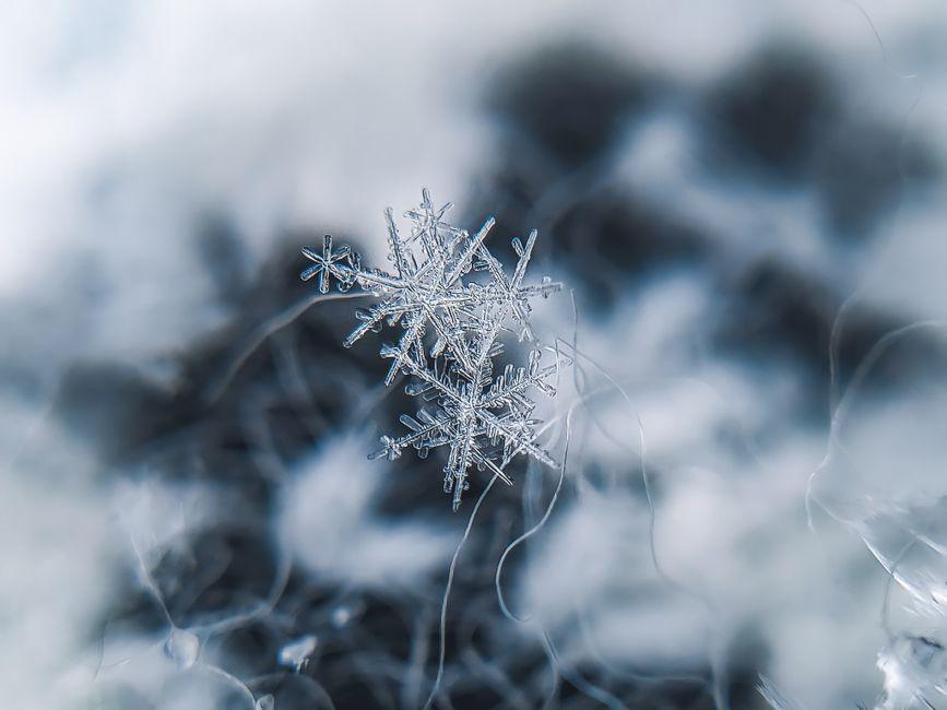 Palantir Snowflake Stock: Which AI Data Company to Buy? palantir snowflake stock which data company — financial market analysis and trading insights for investors