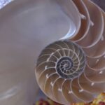 sharpe ratio sortino ratio — financial market analysis and trading insights for investors
